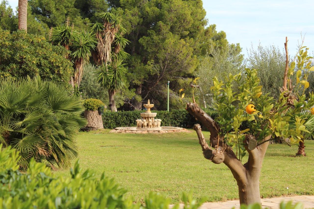 Sunrise Studio Miro, Vistas Jardin Y Mar ميامي بلاتجا المظهر الخارجي الصورة